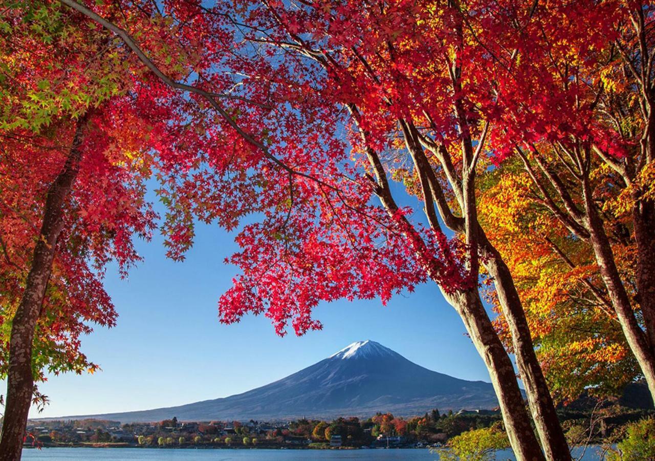 富士山金魚 Fujisan Kingyo Villa Fujikawaguchiko Exteriör bild